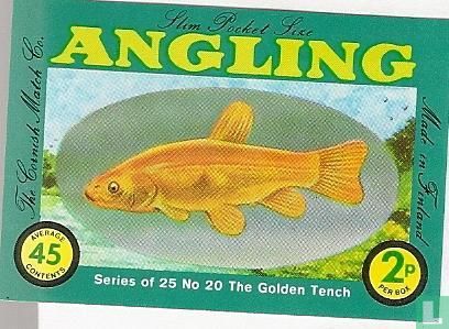 Golden Tench, the