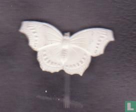 Papillon [blanc]