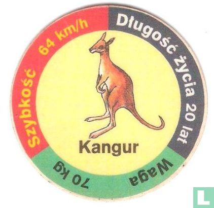 Kangur - Image 1