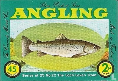 Loch Leven Trout, the