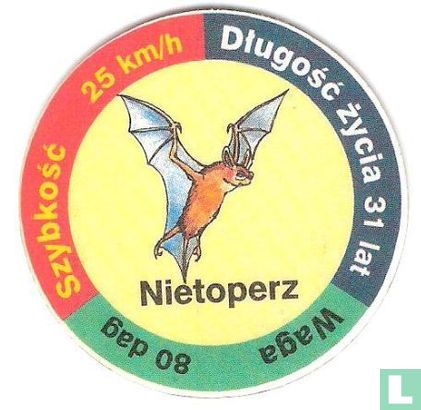 Nietoperz - Bild 1