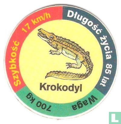 Krokodyl - Afbeelding 1