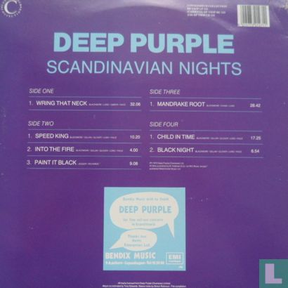 Scandinavian nights - Image 2