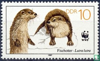 Fishing Otter - Image 1