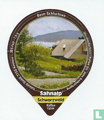 Schwarzwald 1 - Beim Schluchsee
