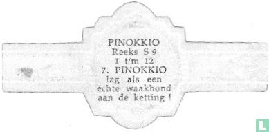 Pinokkio lag als een echte waakhond aan de ketting ! - Image 2
