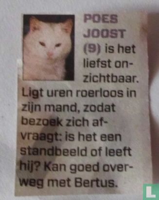 Poes Joost (9)