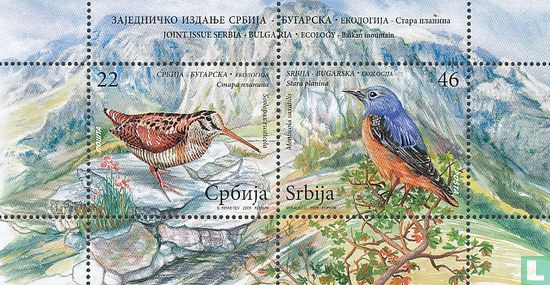 Vögel des Balkan