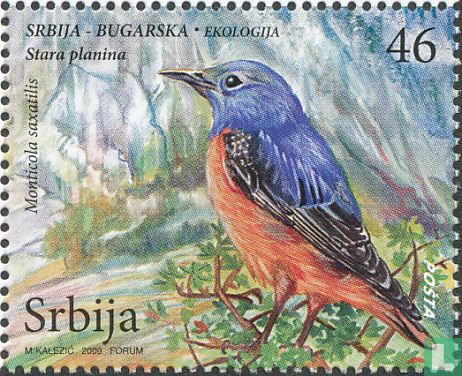 Oiseaux des Balkans