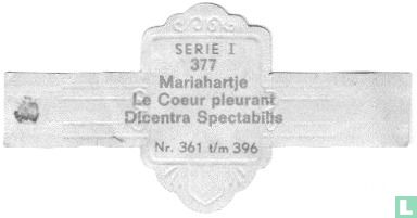 Mariahartje - Le Coeur pleurant Dicenrtra Spectabilis - Afbeelding 2