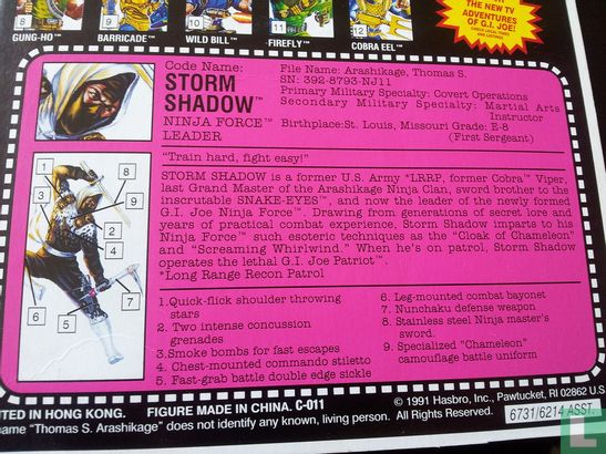 Storm Shadow (v3) - Image 3