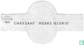 Chrysant 'Hoeks Glorie' - Afbeelding 2