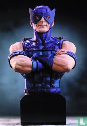 Hawkeye mini bust