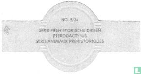 Pterodactylus - Image 2