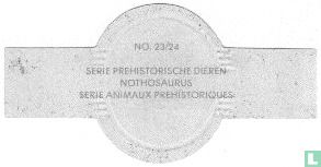 Nothosaurus - Afbeelding 2