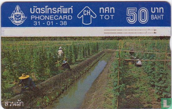 Thai Agriculture 2/4