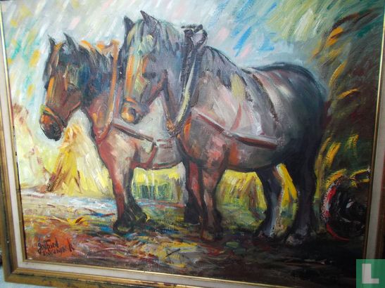 Belgian Draft horses - Image 1