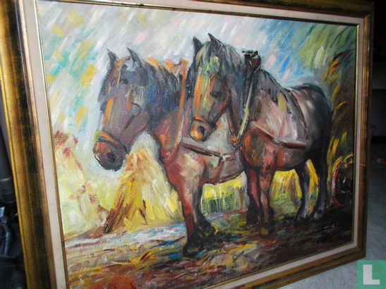 Belgian Draft horses - Image 2