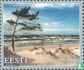 Baltic coast  