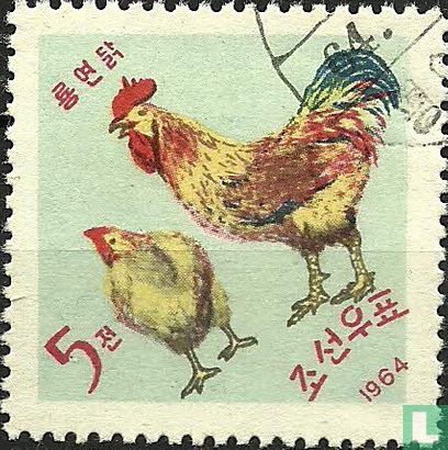 Hühner