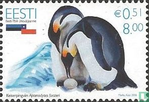 Antarctic fauna