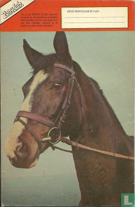 Ponyclub 64 - Bild 2