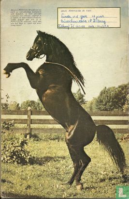 Ponyclub 89 - Afbeelding 2