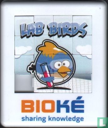 Lab Birds - Image 1
