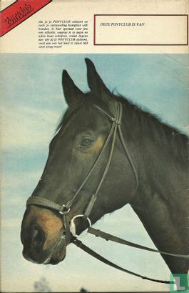 Ponyclub 76 - Image 2