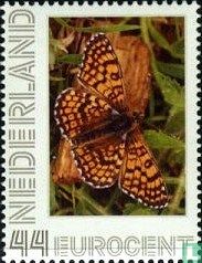 Schmetterlinge-Glanville Fritillary