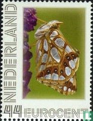 Butterflies - Small fritillary butterfly