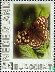 Butterflies - Speckled Wood