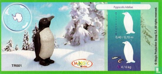 Pingouin - Image 3