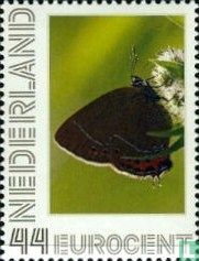 Butterflies-Plum page