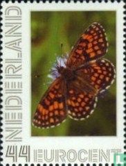 Butterflies - heath fritillary