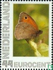 Butterflies-meadow Brown