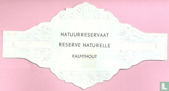 Natuurreservaat - Kalmthout - Image 2