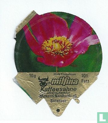 Milfina - Wilde Pfingstrose