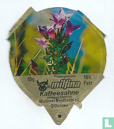 Milfina - Frühlingsenzian