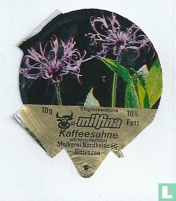 Milfina - Bergflockenblume
