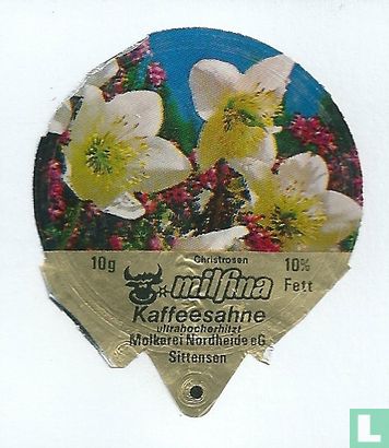 Milfina - Christrosen
