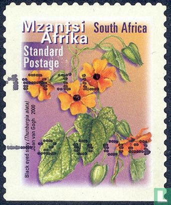Flora and Fauna (Mzantsi)