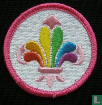 Gay Scout