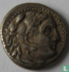 Macédoine drachme 323-317 av. J.-C. - Image 1