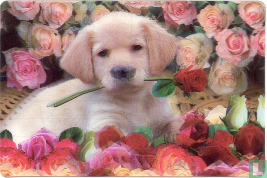 Hond met rozen