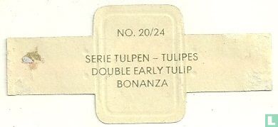 Double early tulip Bonanza - Afbeelding 2