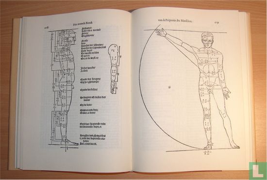 Menschliche Proportion - Image 3