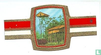 Paalwoningen op Nieuw-Guinea - Image 1