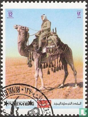Camel Riders  