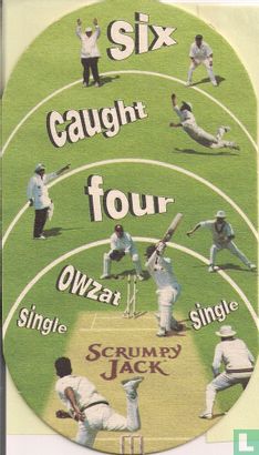Test your cricket skills - Image 2